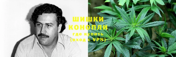сатива Няндома
