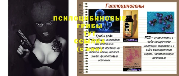 сатива Няндома