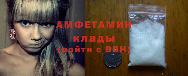 сатива Няндома