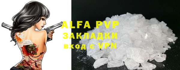 сатива Няндома