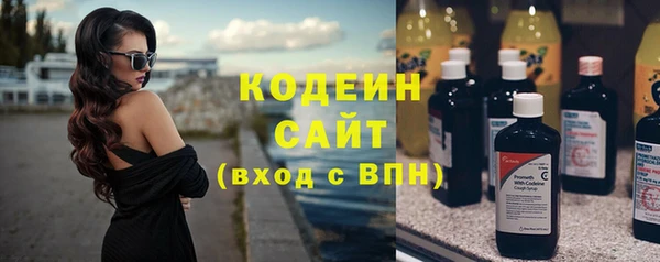 сатива Няндома