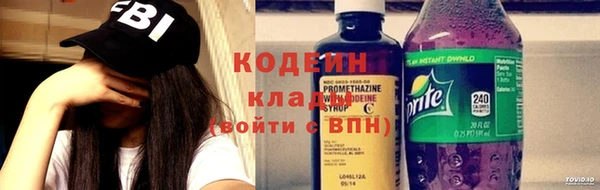 сатива Няндома