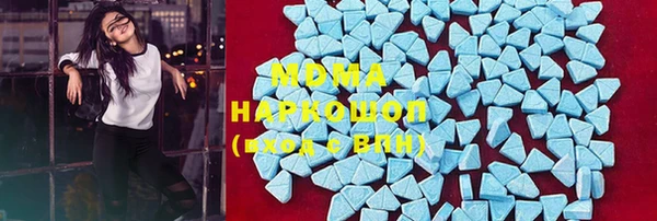 сатива Няндома