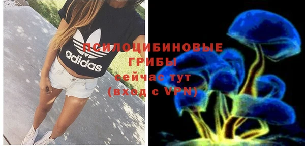 сатива Няндома
