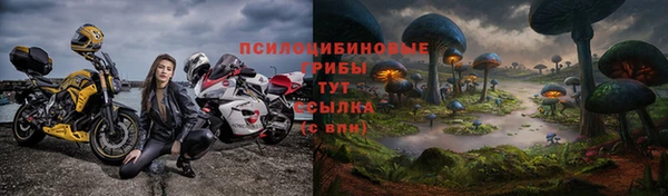 сатива Няндома
