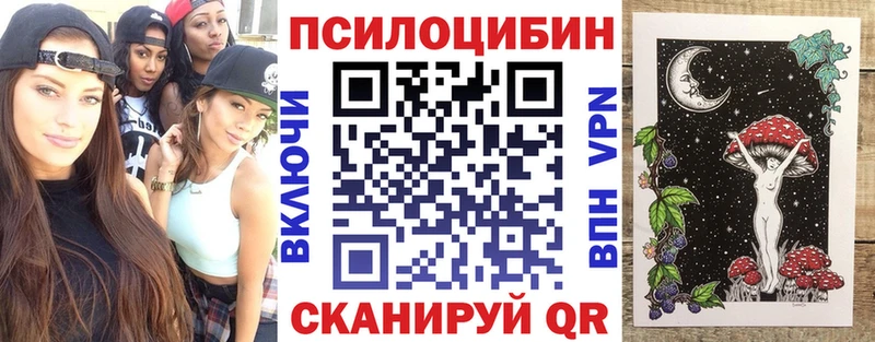 Псилоцибиновые грибы GOLDEN TEACHER  Купить закладки  Щёлкино 